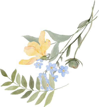 花のイラスト
