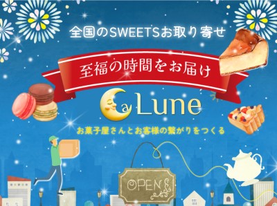 web画像
